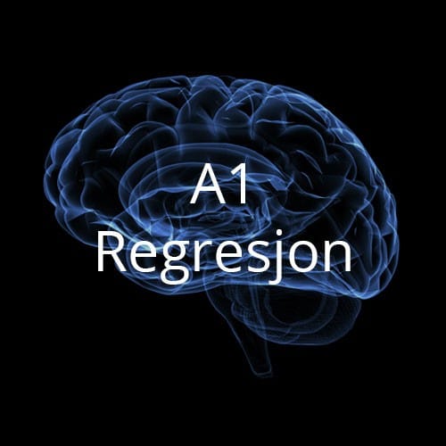A1 - Regresjon