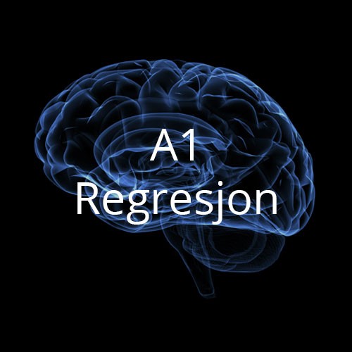 A1 - Regresjon