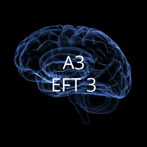 A3 EFT 3