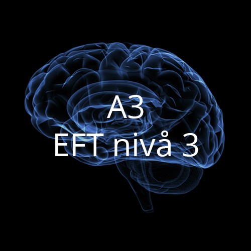 A3 EFT 3