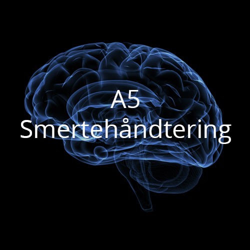 A5 - Smertehåndtering