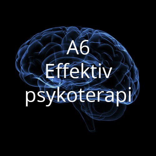 A6 Effektiv psykoterapi