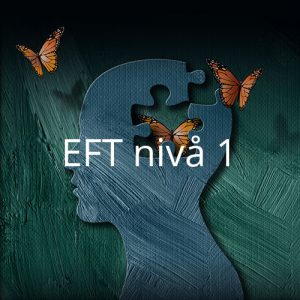 EFT Nivå 1