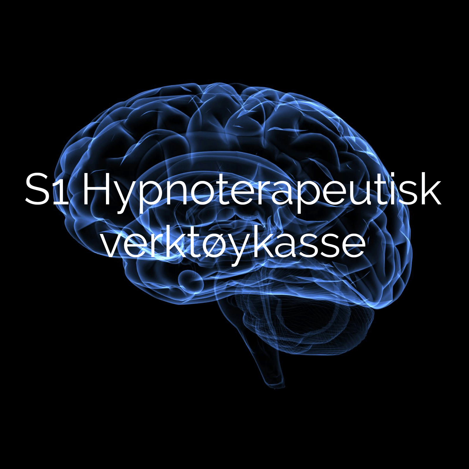 S1 Hypnoterapeutisk verktøykasse